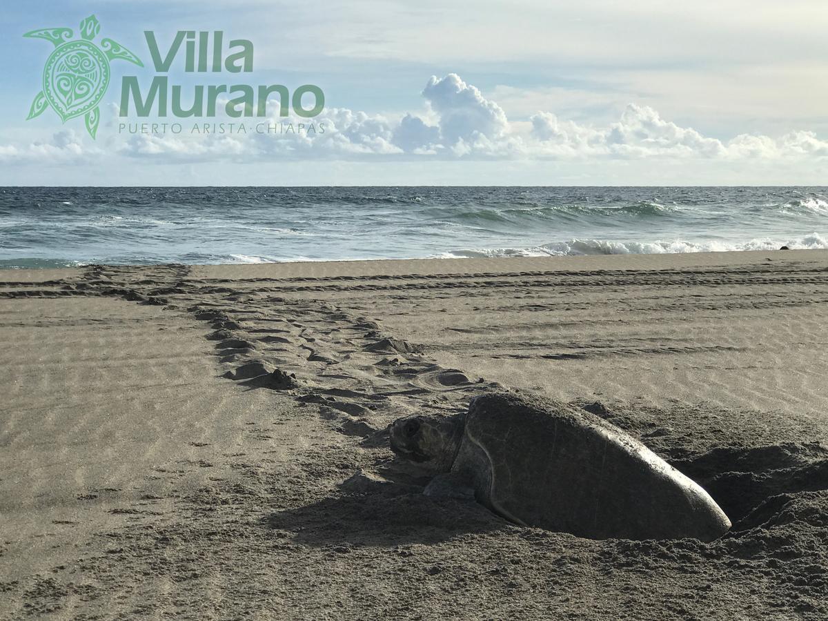 Hotel Villa Murano Puerto Arista Exteriér fotografie